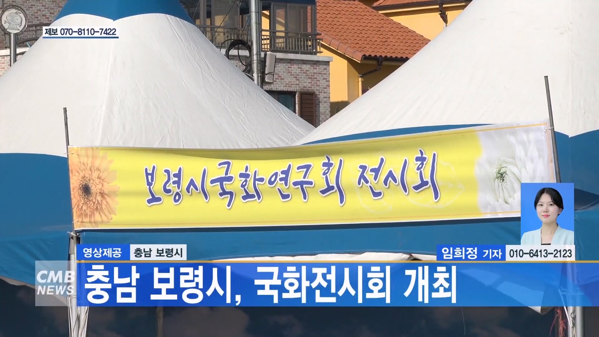 [1028 CMB 5시뉴스] 충남 보령시 국화전시회 개최